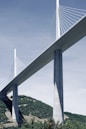 white bridge under blue sky during daytime