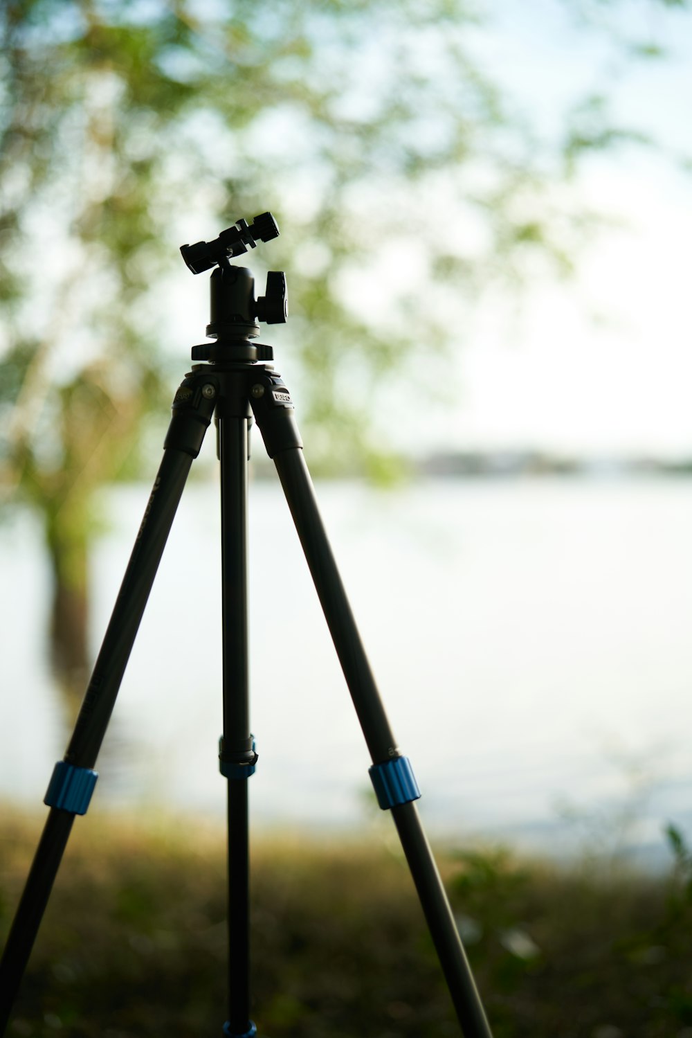 black and blue tripod on brown wooden table