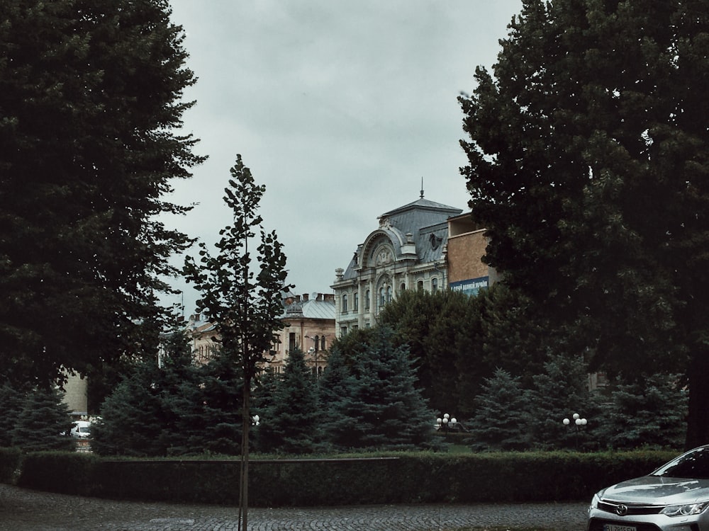 green trees near brown concrete building during daytime