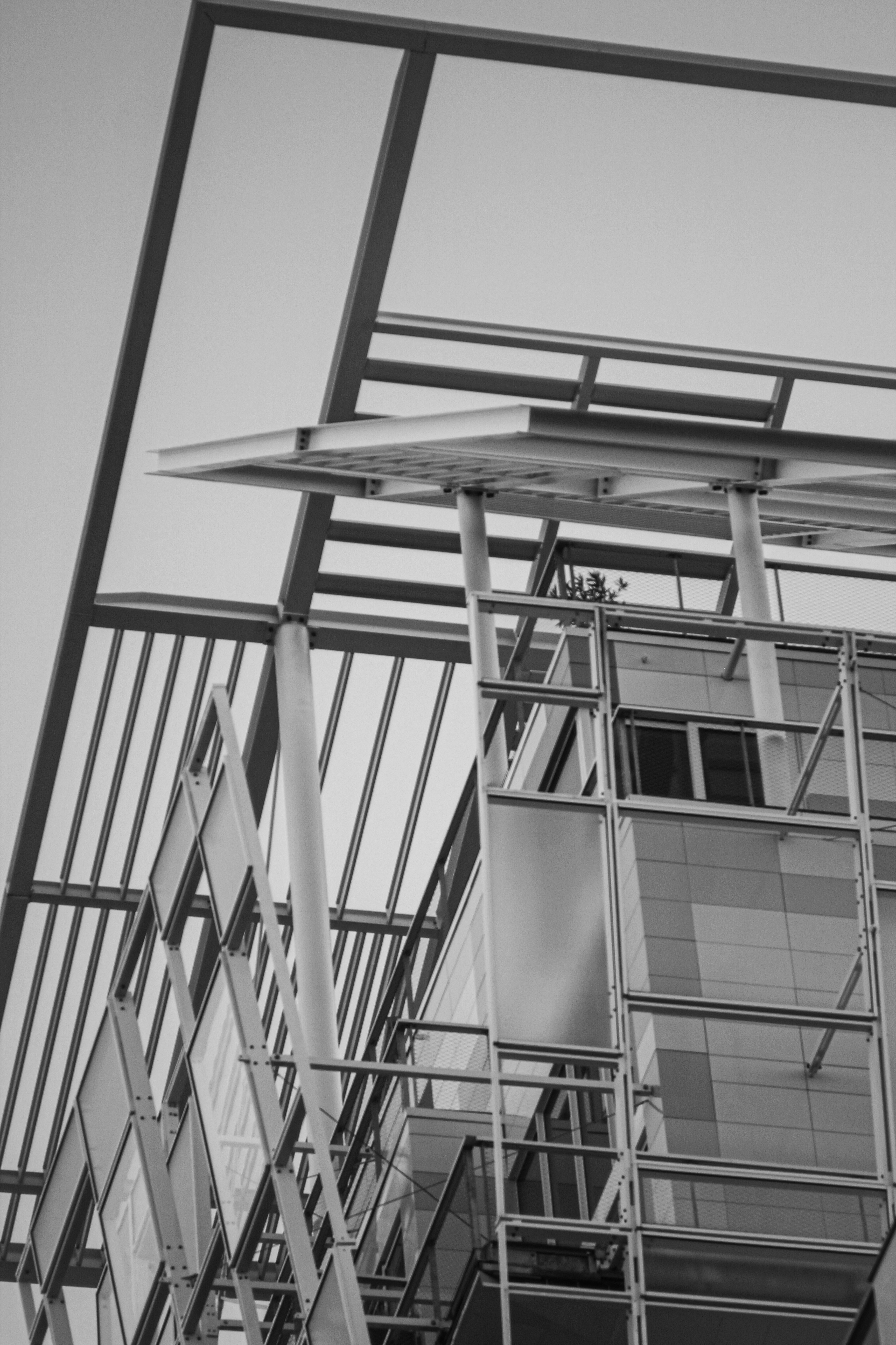 successful_window_film_removal