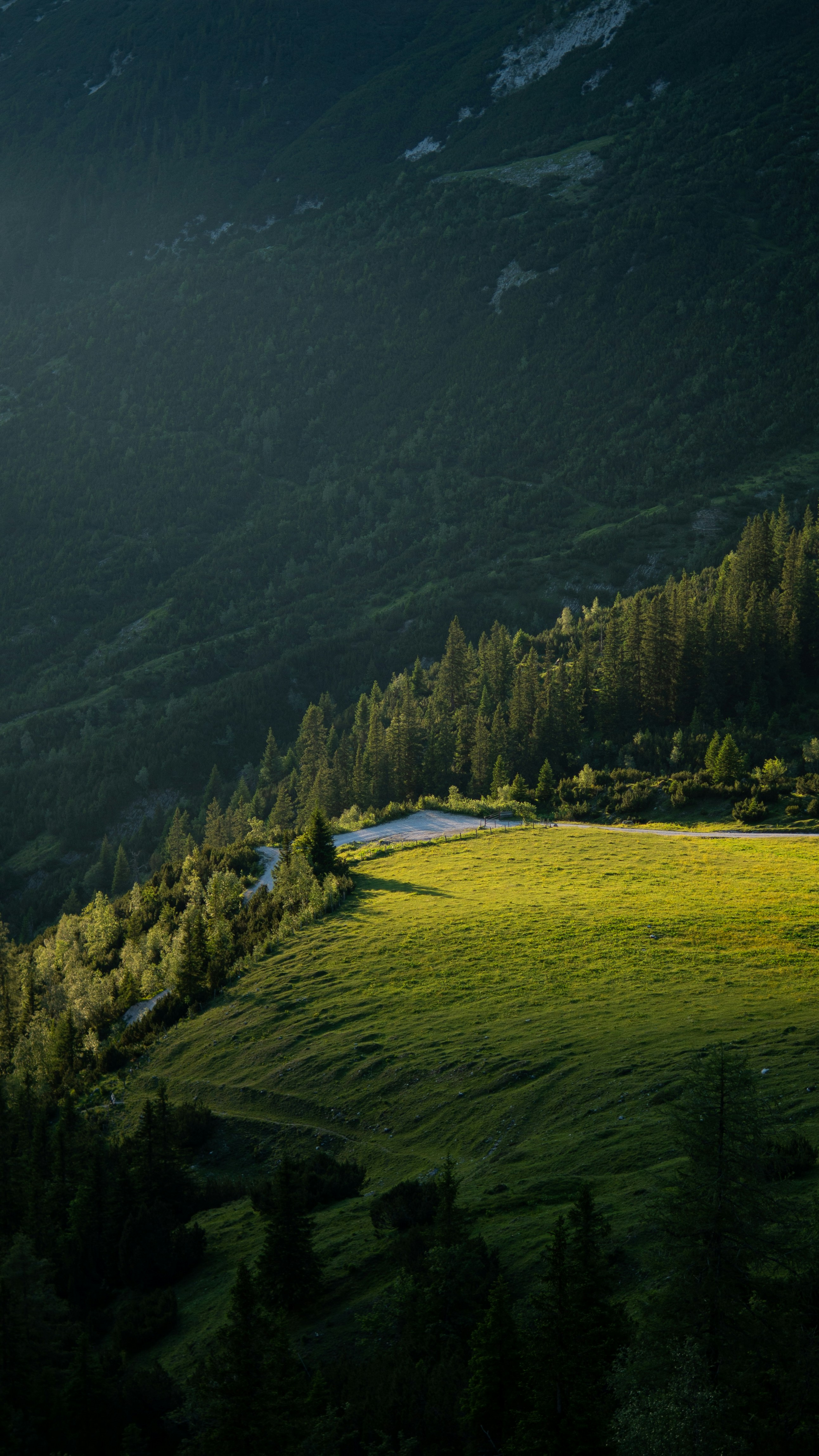 Photo by lucas_friedrich