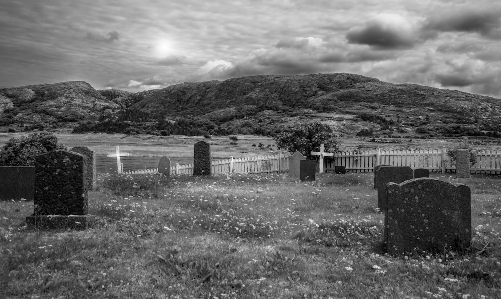 grayscale photo of wooden fence on grass field