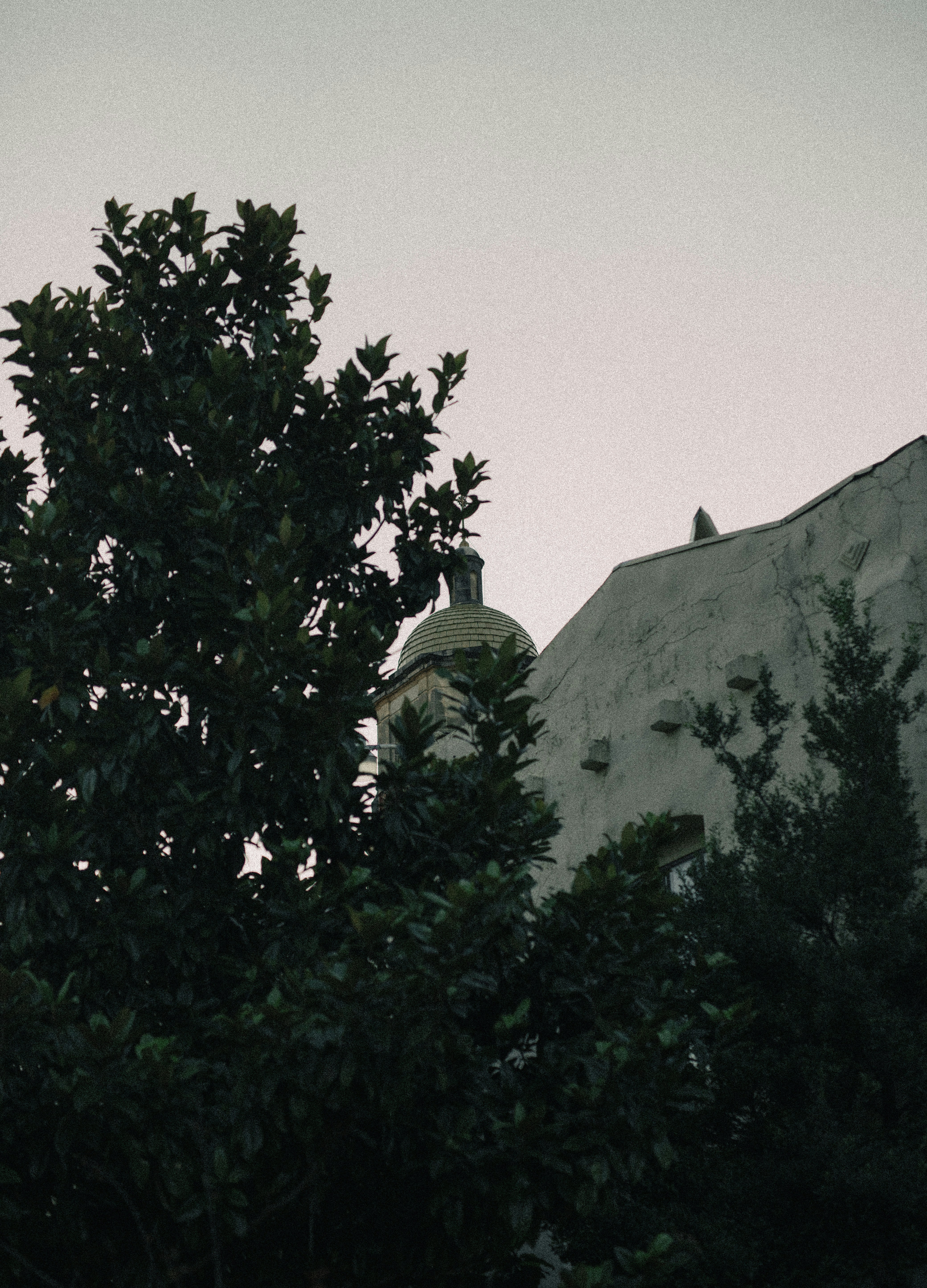 Photo by lowmurmer