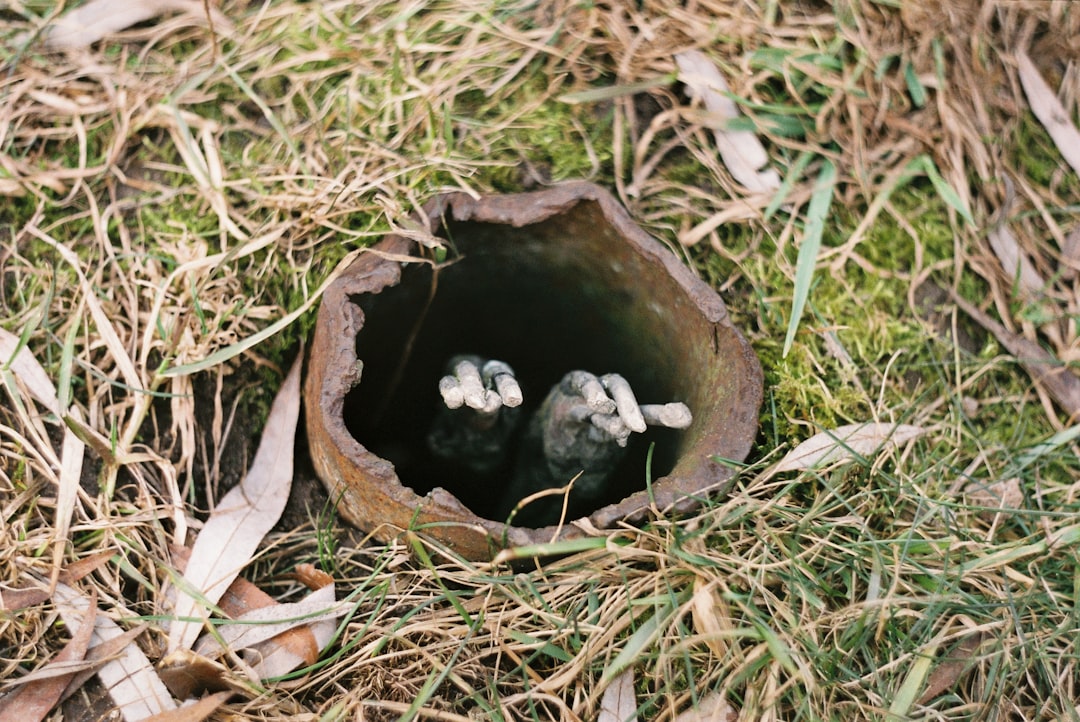 black round trash bin on green grass