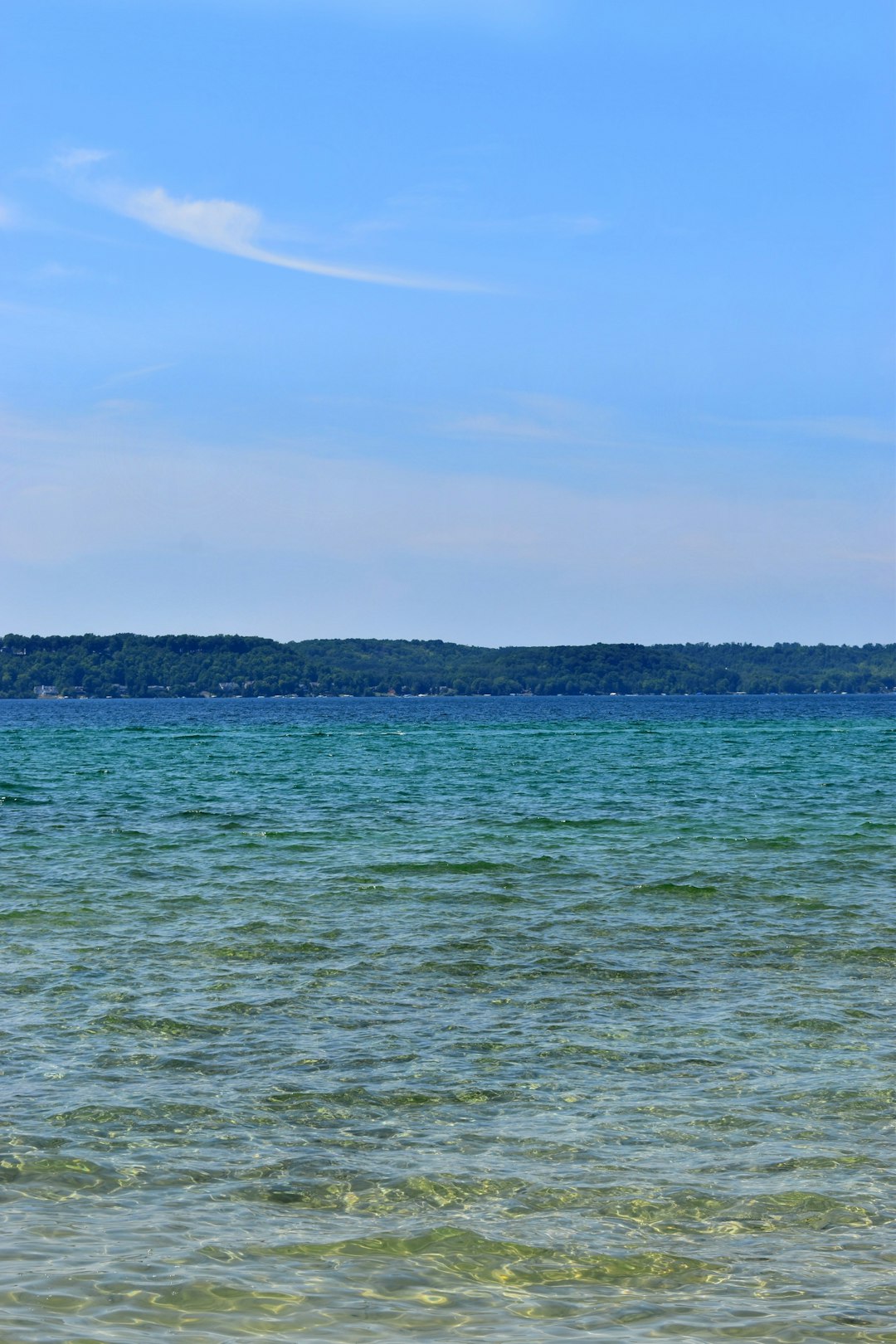 green trees near body of water during daytime