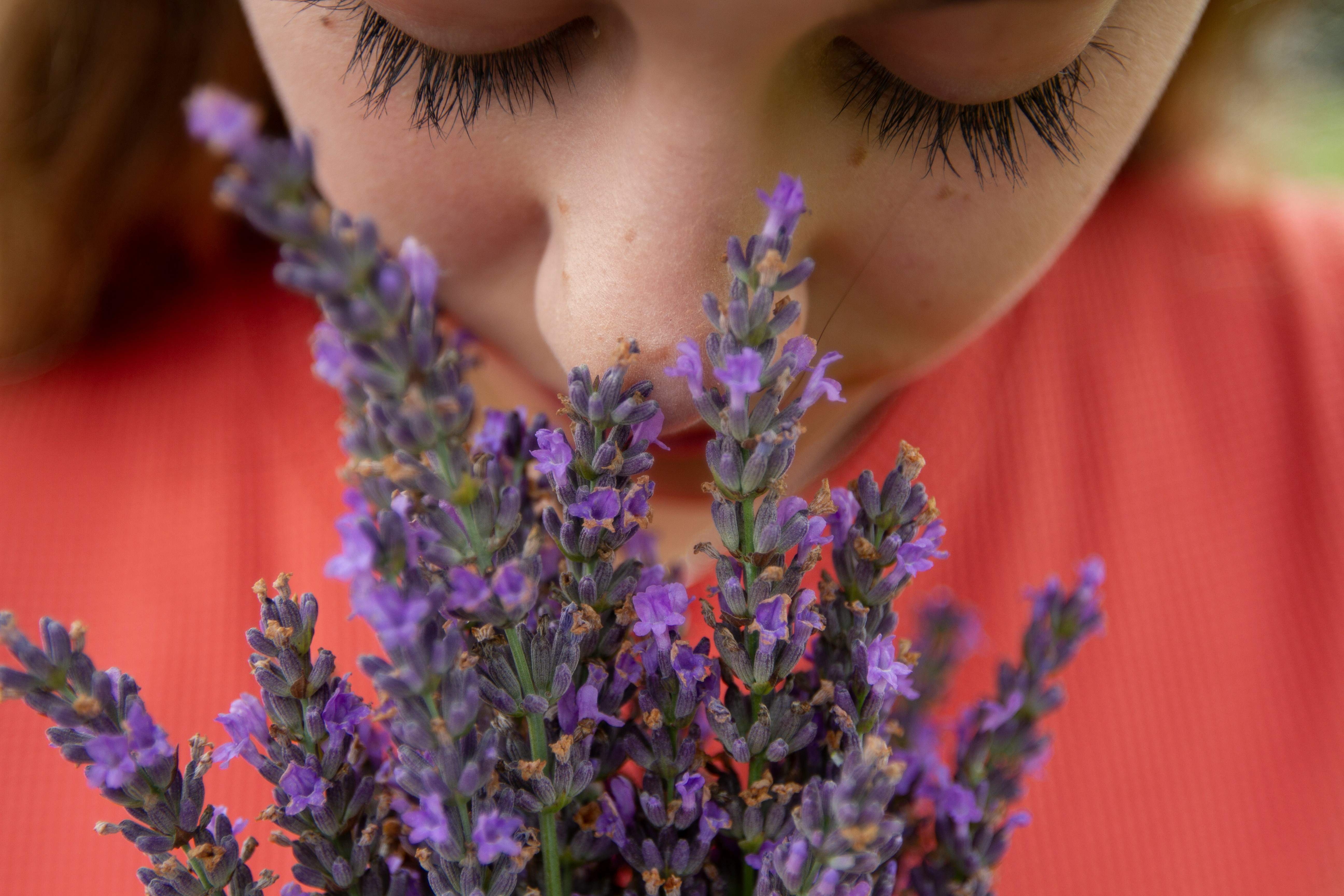 Your Nose Knows: The Fascinating Brain Science That Makes Aromatherapy Actually Work