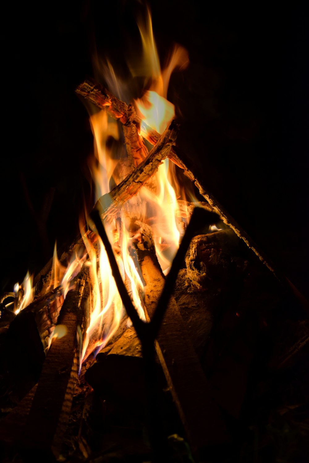 burning wood in black background