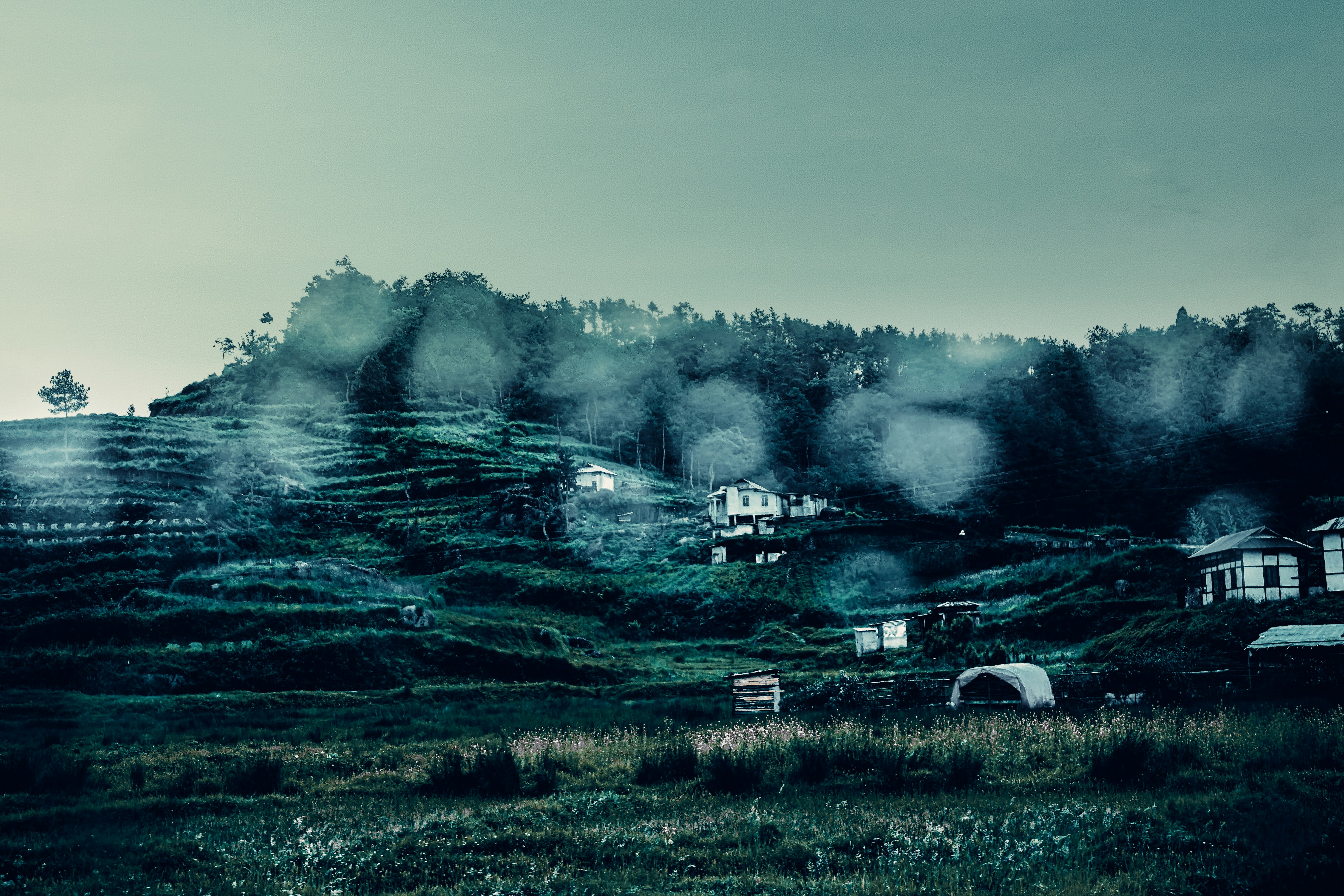 Ranit Chakraborty (@pursuit_of_shutter) | Komunitas Foto Unsplash