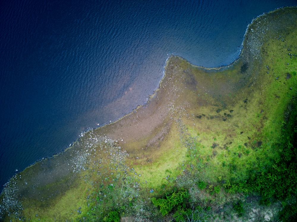 árboles verdes y cielo azul