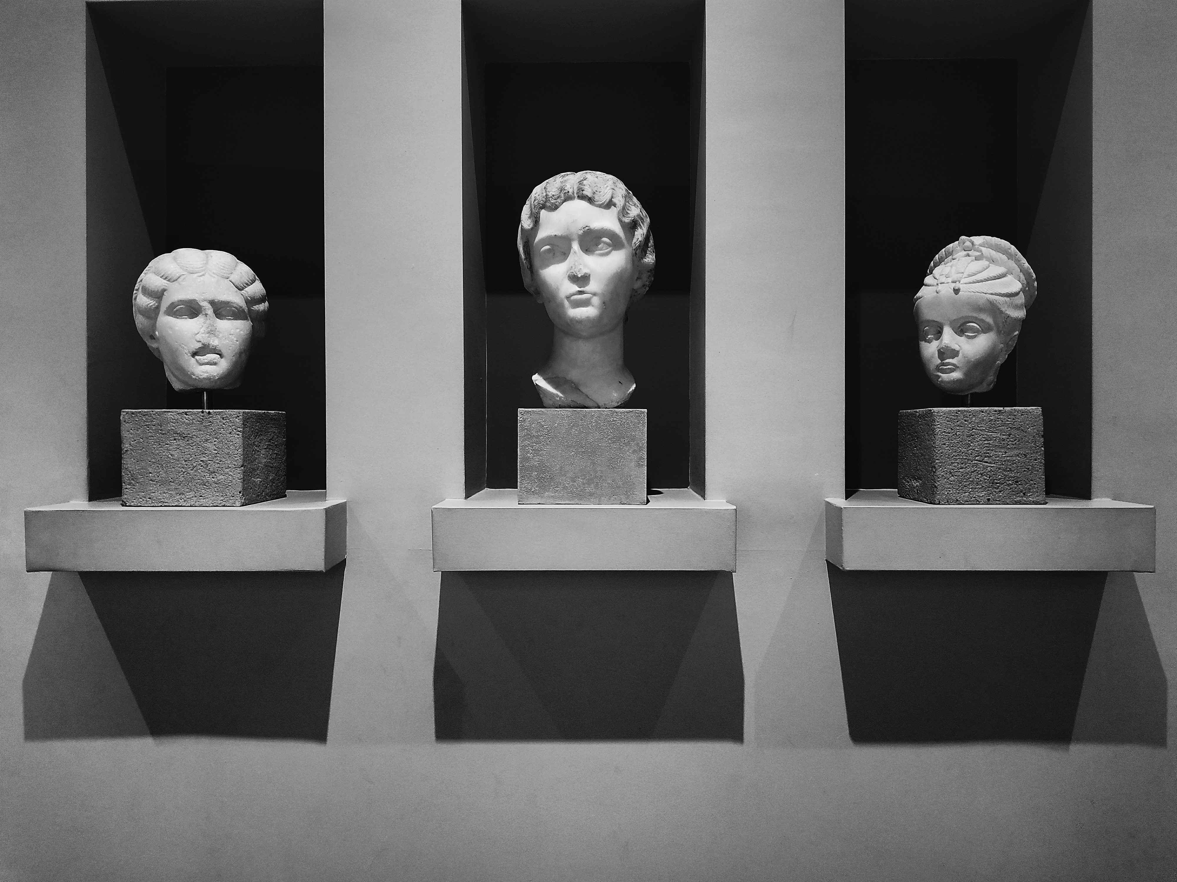 The Evolution of Society and Culture in the Era of AI