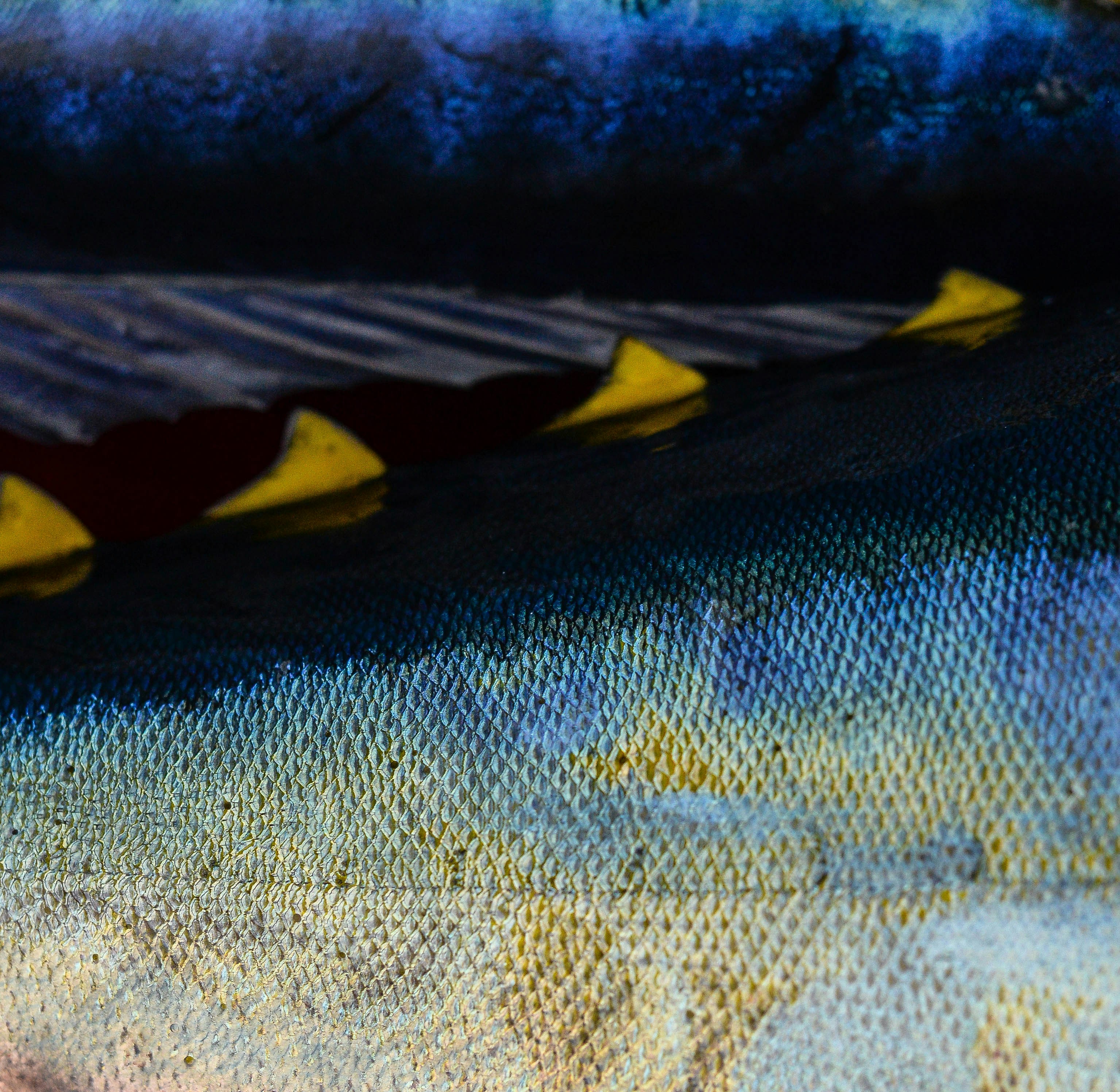 black and white bed linen