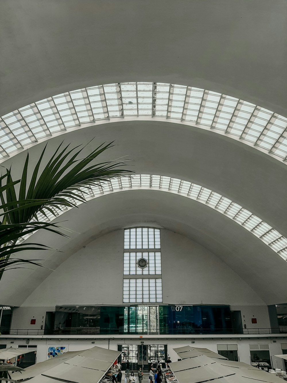 green palm tree inside building