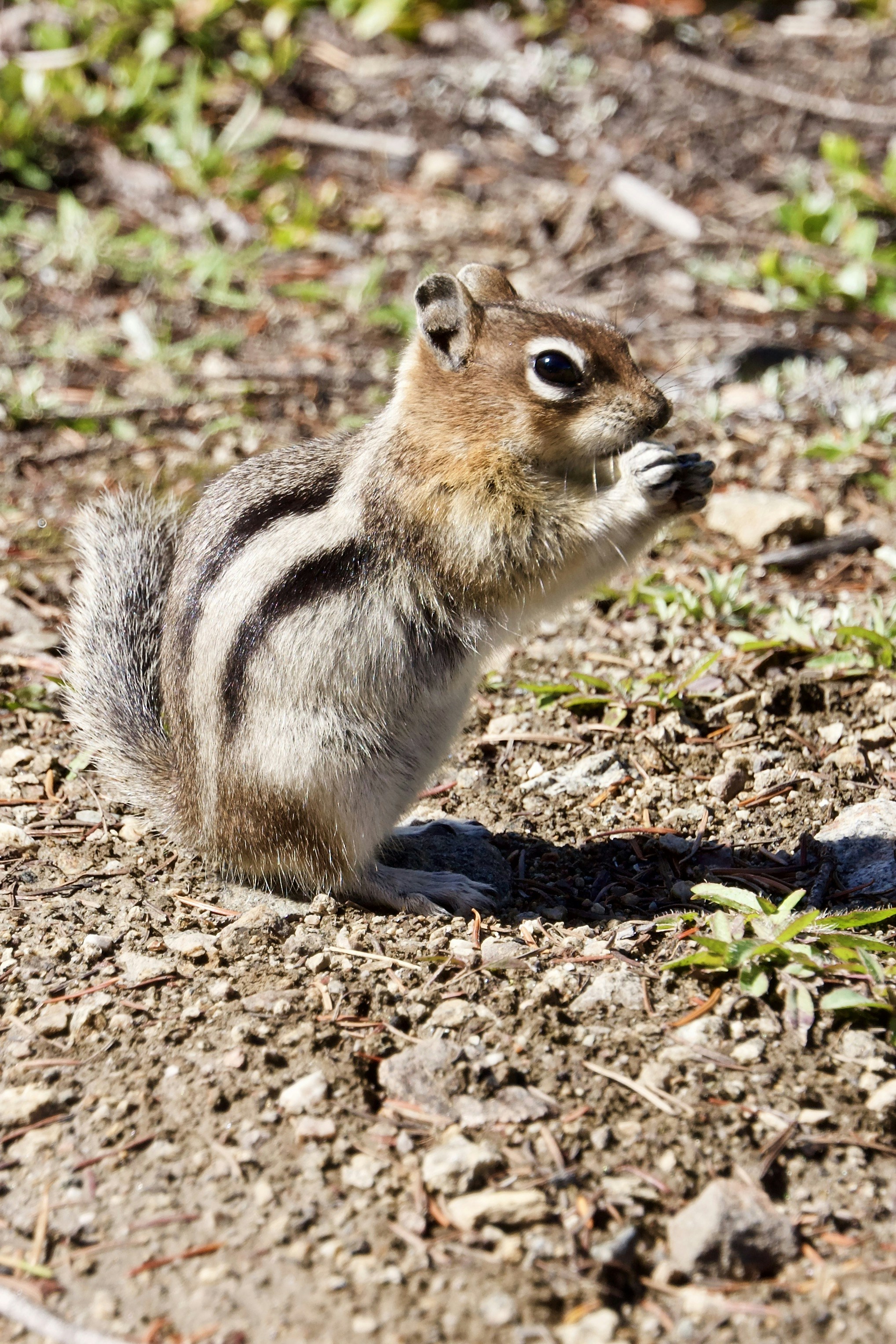 Photo by heracles1903