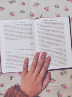 Journal d Anne Frank Amsterdam livre