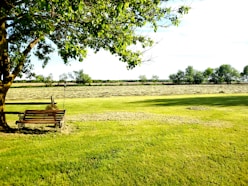 brown wooden bench on green grass field during daytime