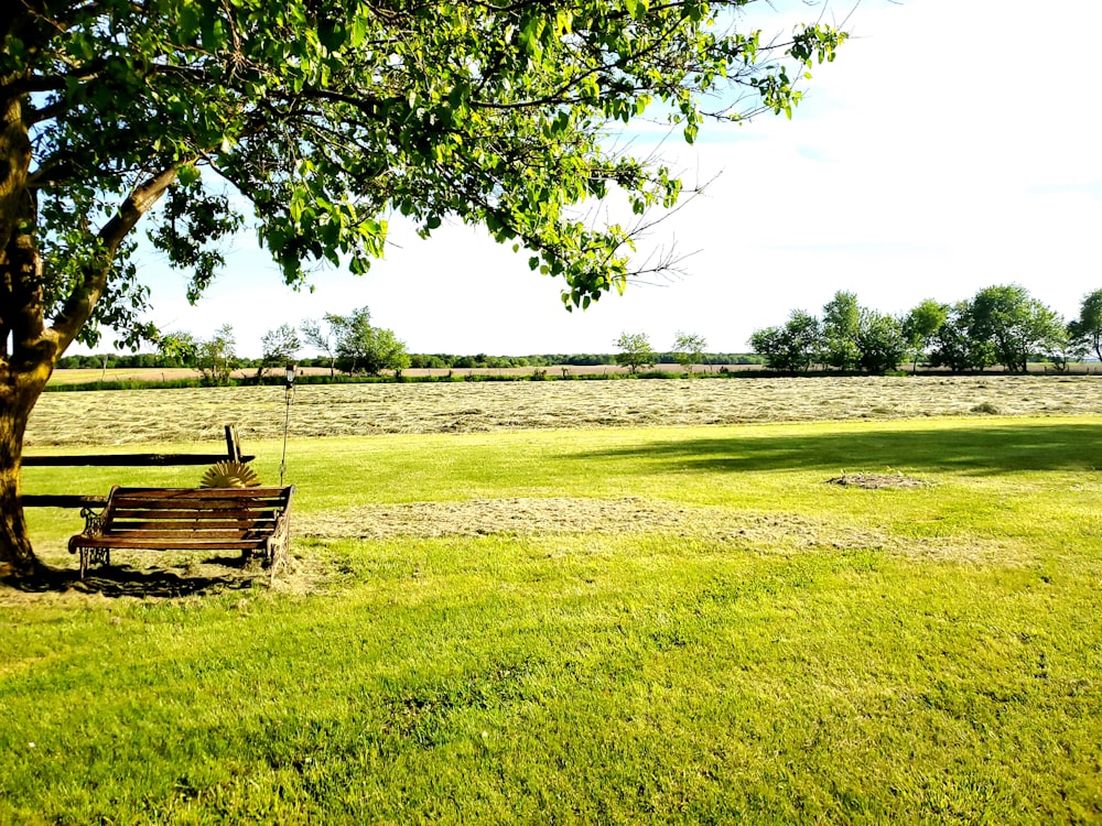 banc en bois brun sur un champ d’herbe verte pendant la journée