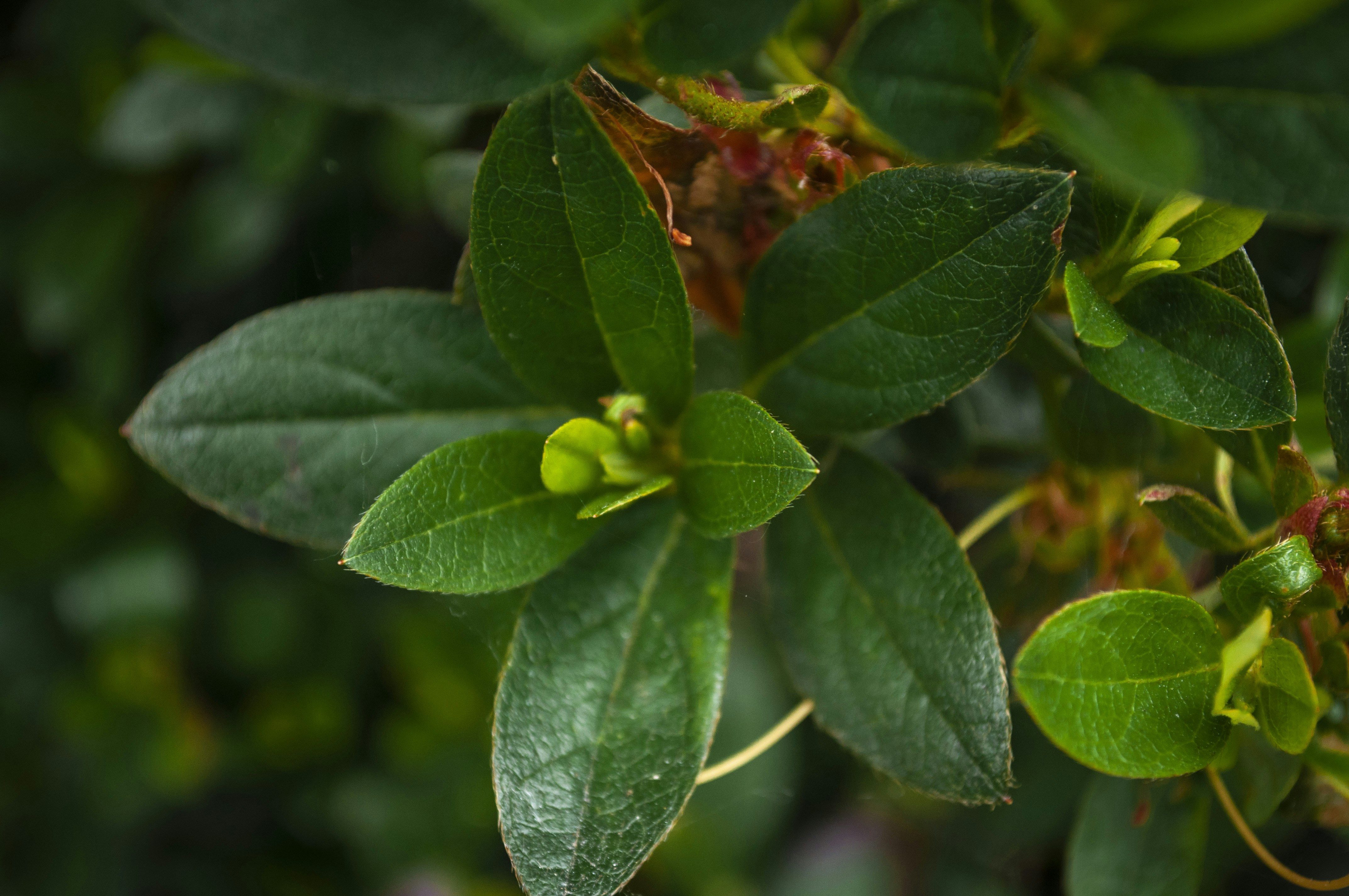 Photo by ben_vaughn_189