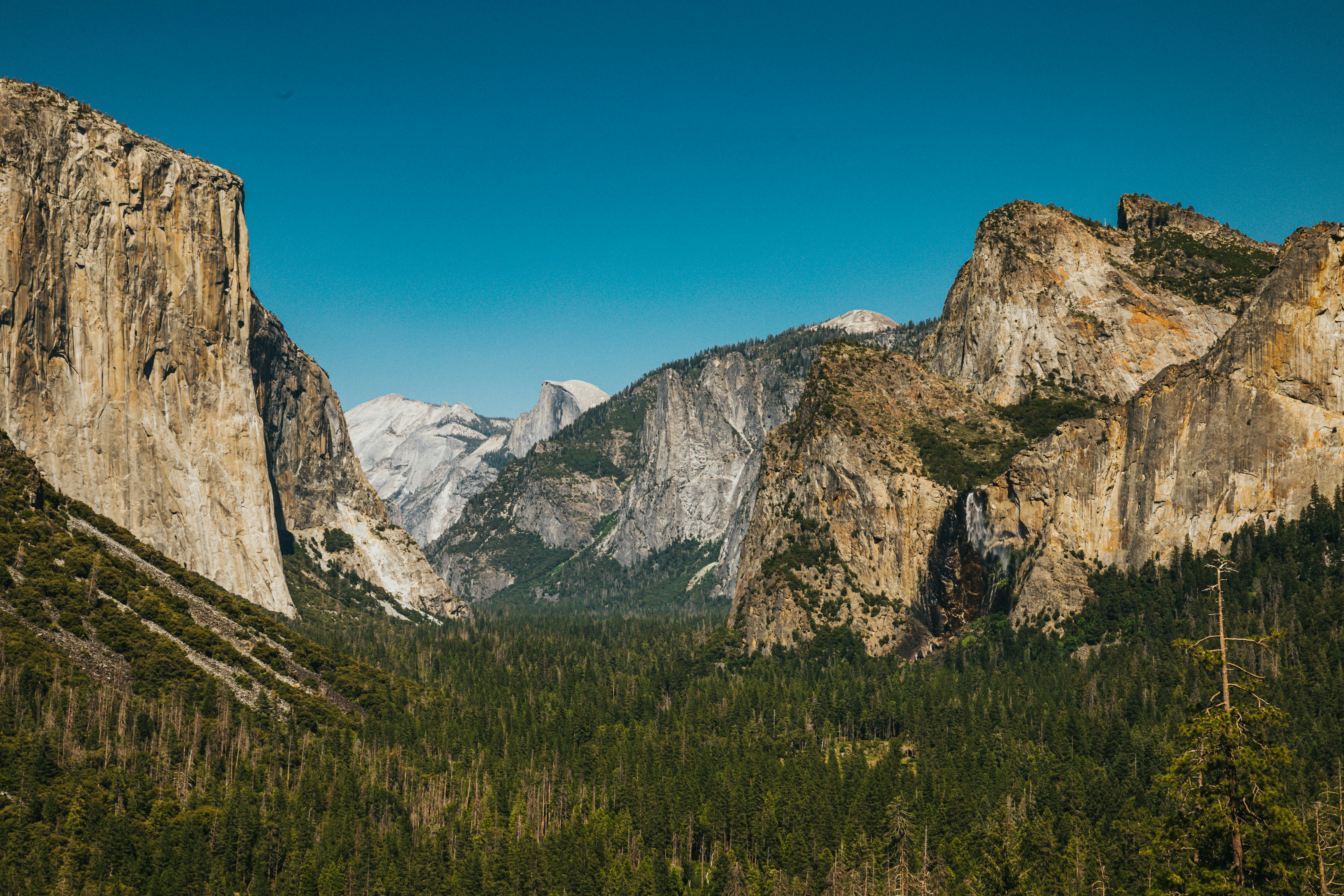 Photo by nate_dumlao