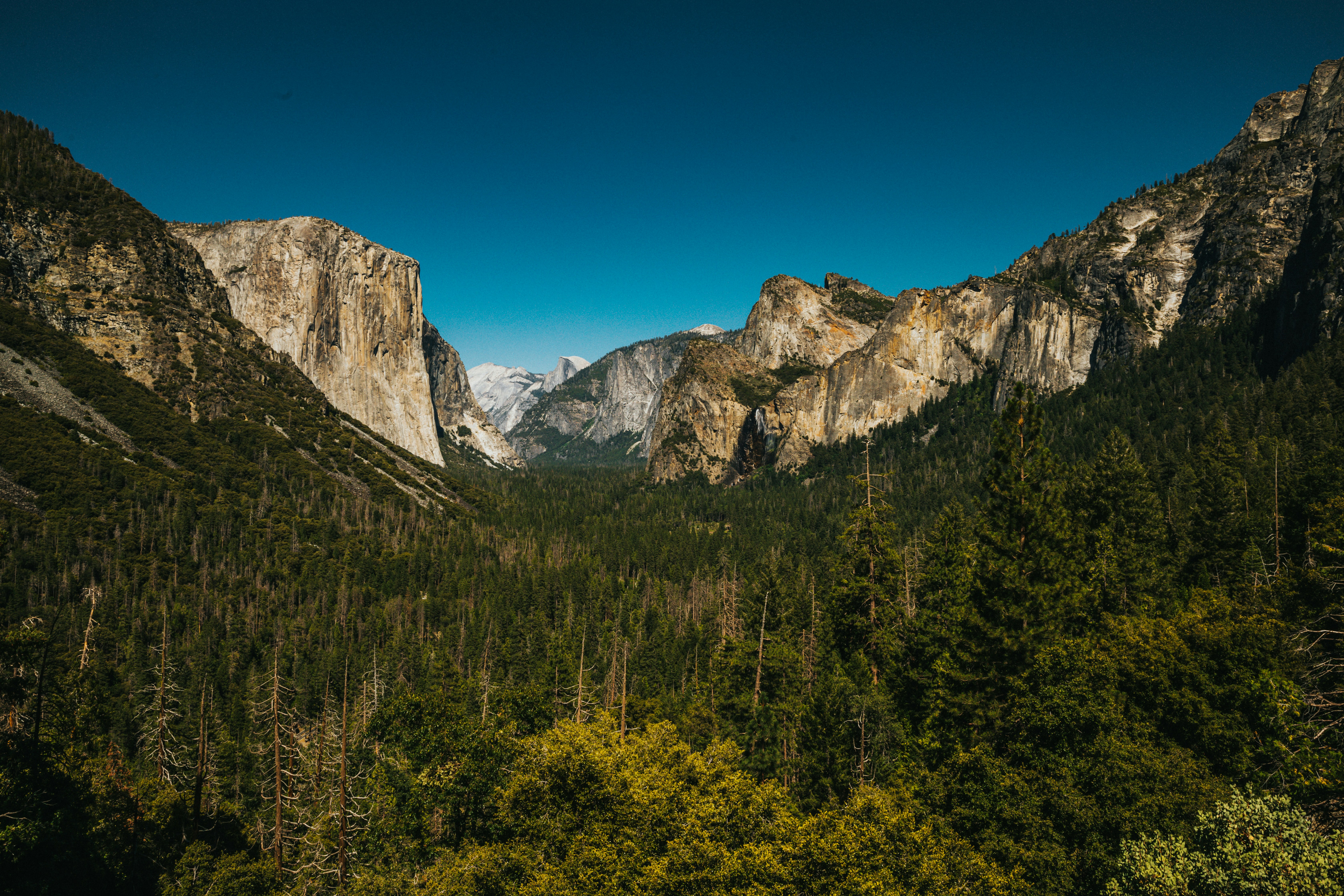 Photo by nate_dumlao