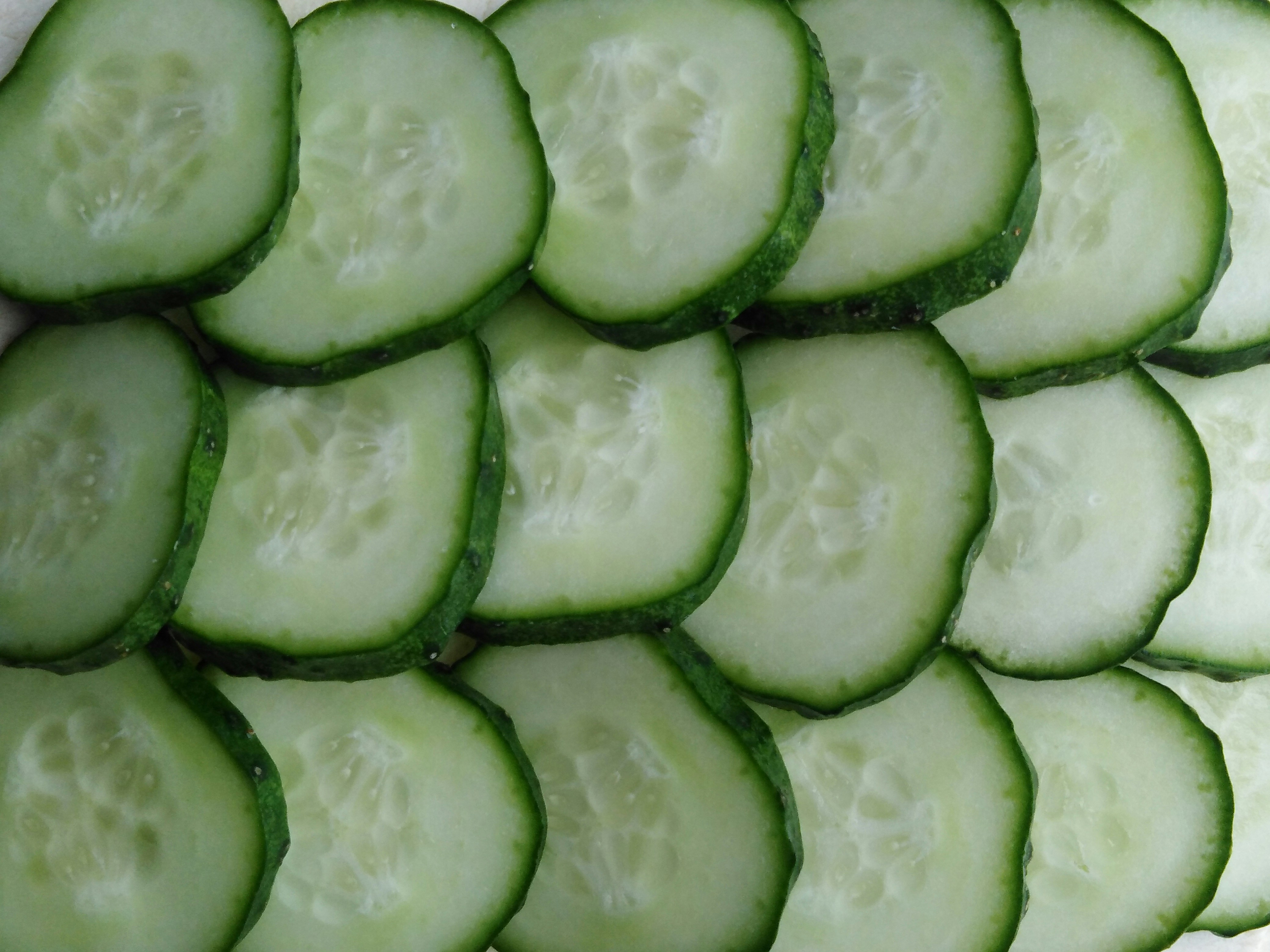 Hydration on a Budget: Why More Americans Are Adding Cucumbers to Their Daily Meals
