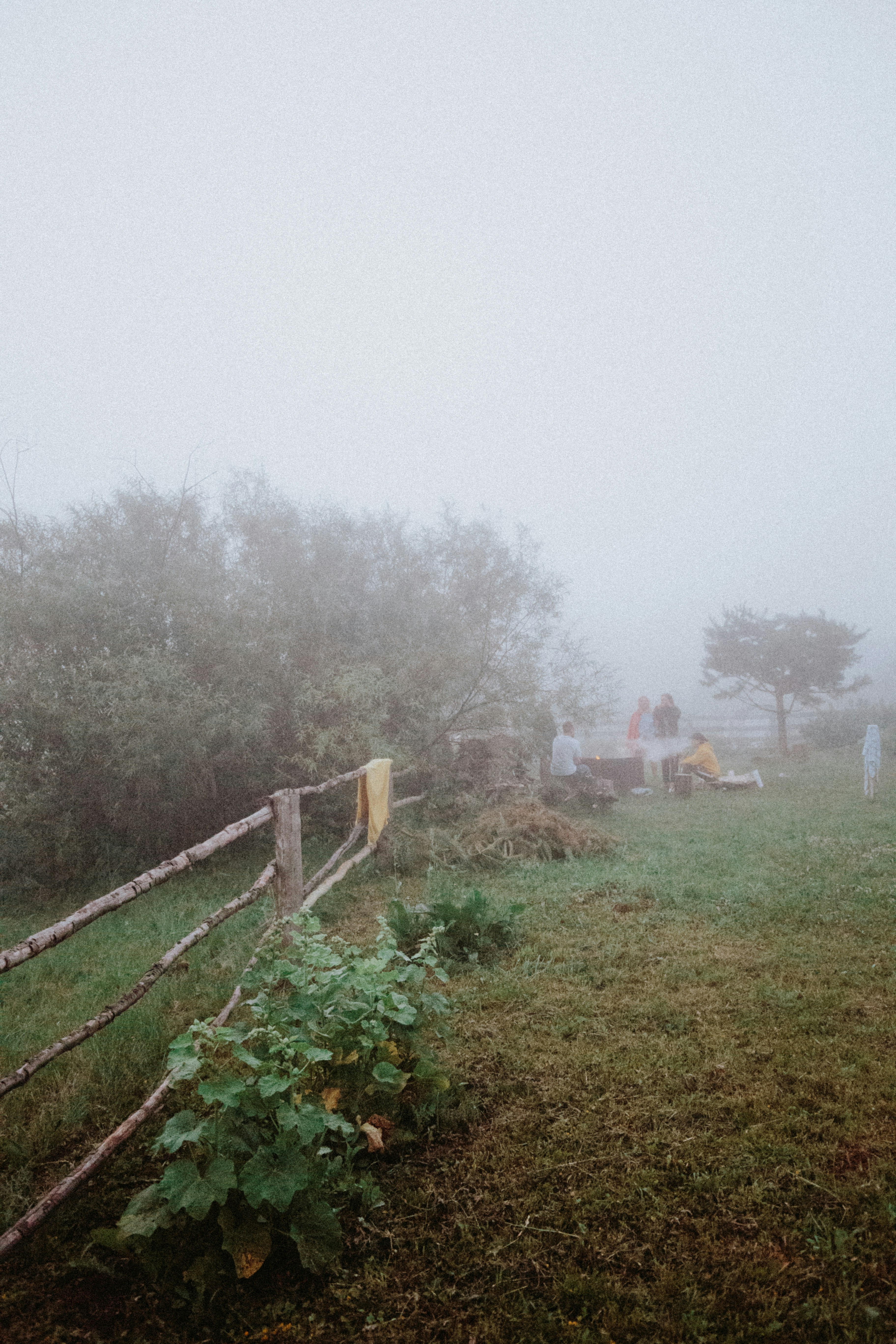Photo by kkalerry