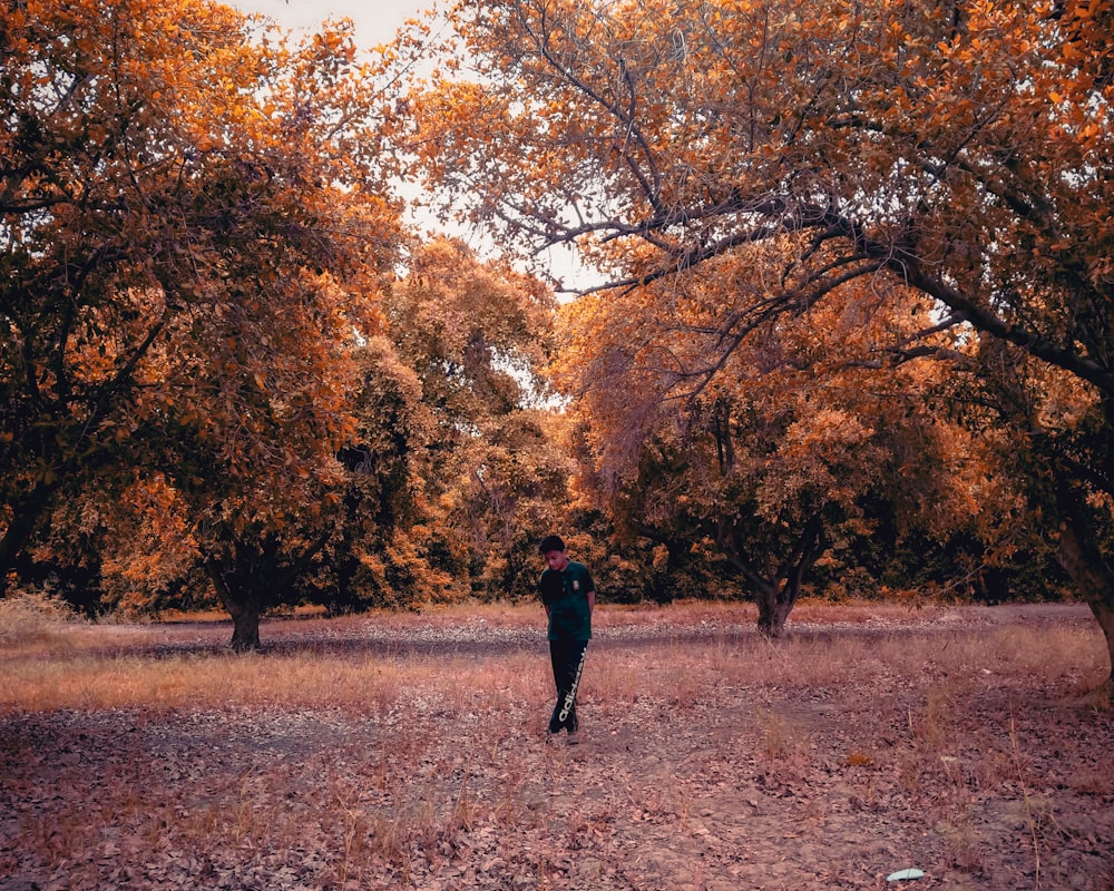 person in black jacket walking on brown dried leaves on ground during daytime