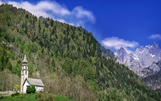 A serene view of a church surrounded by lush greenery and a clear blue sky.