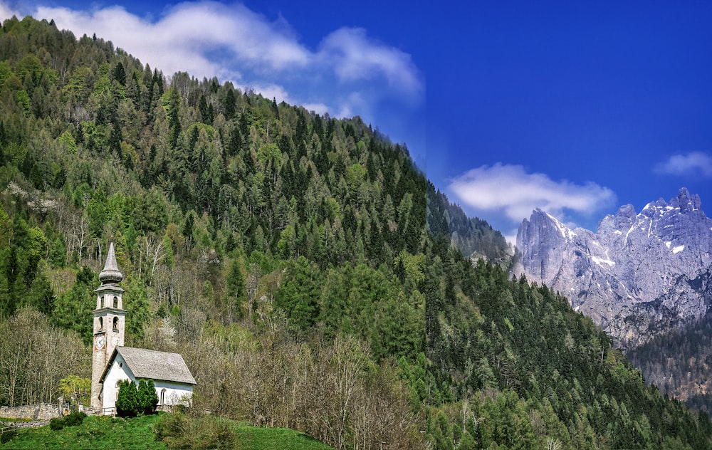 green trees on mountain under blue sky during daytime