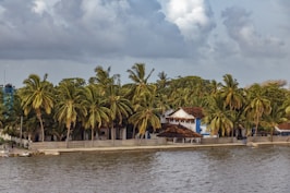 brown wooden house near palm trees and body of water during daytime
