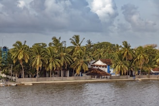 brown wooden house near palm trees and body of water during daytime