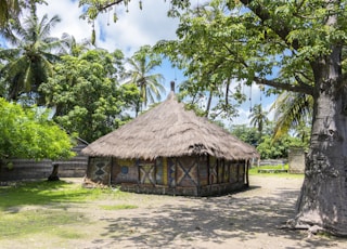 brown wooden house near green trees during daytime