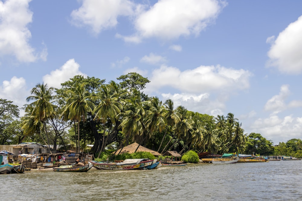 boats on sea near palm trees under blue sky and white clouds during daytime