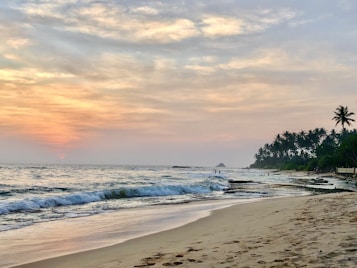 A serene beach scene with gentle waves washing ashore, a sandy beach with footprints, and a line of palm trees in the distance. The sky is a beautiful blend of pastel colors as the sun sets, casting a warm glow over the entire landscape.