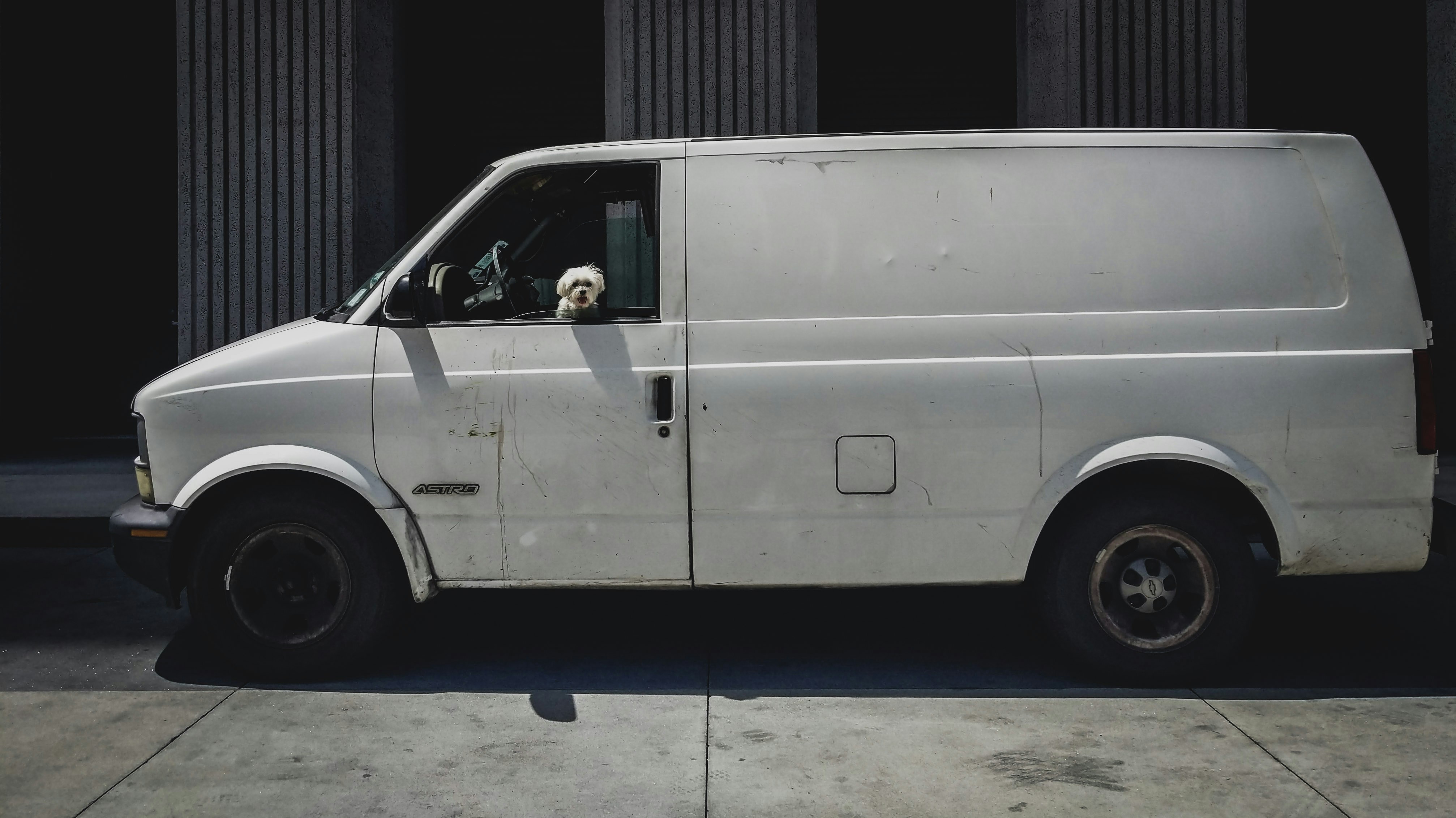 Twice Weekly Cleanings (Monthly Membership)