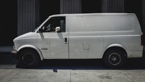 Baño y corte completo