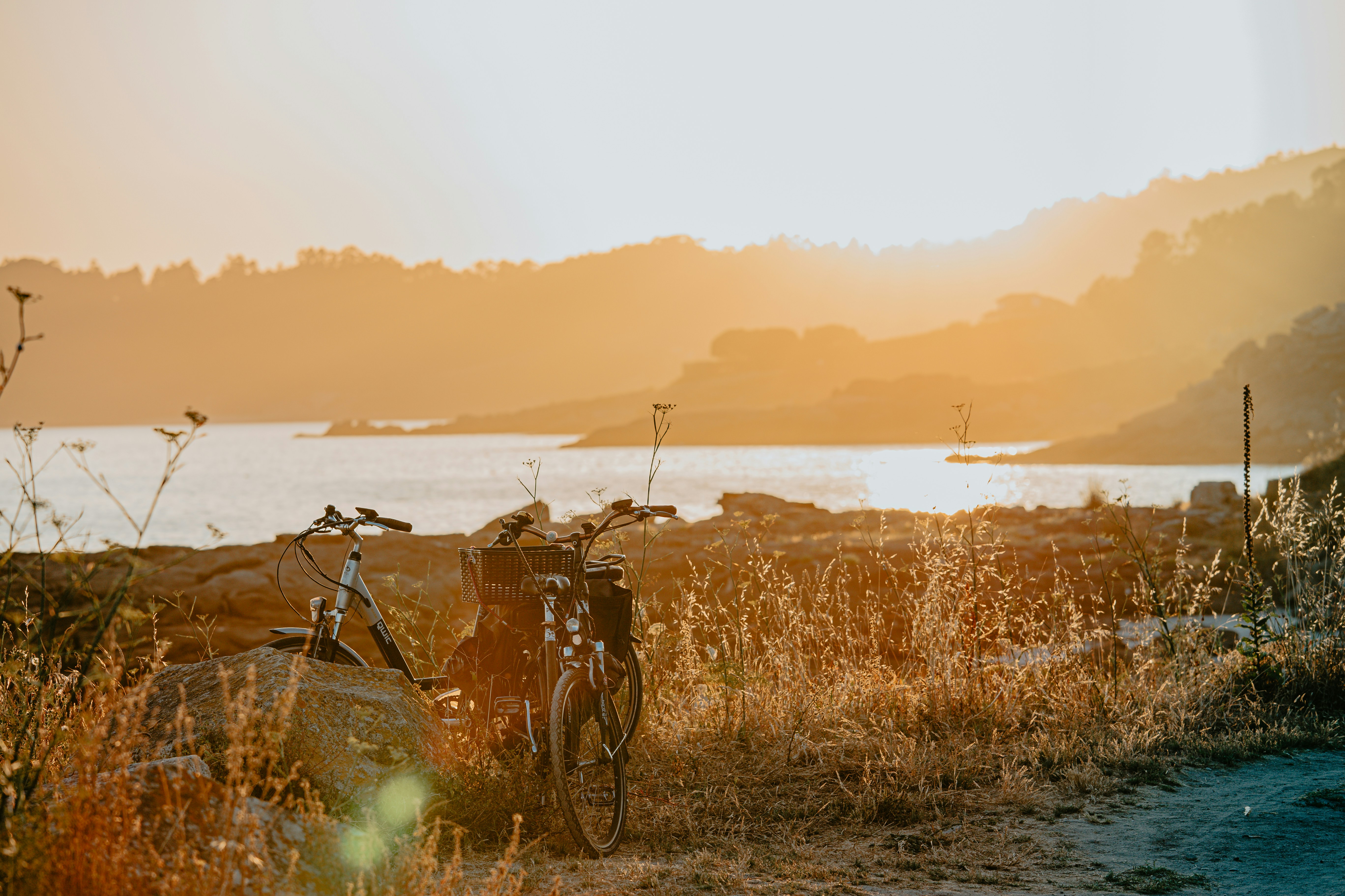 brown bicycle on brown grass field during sunset