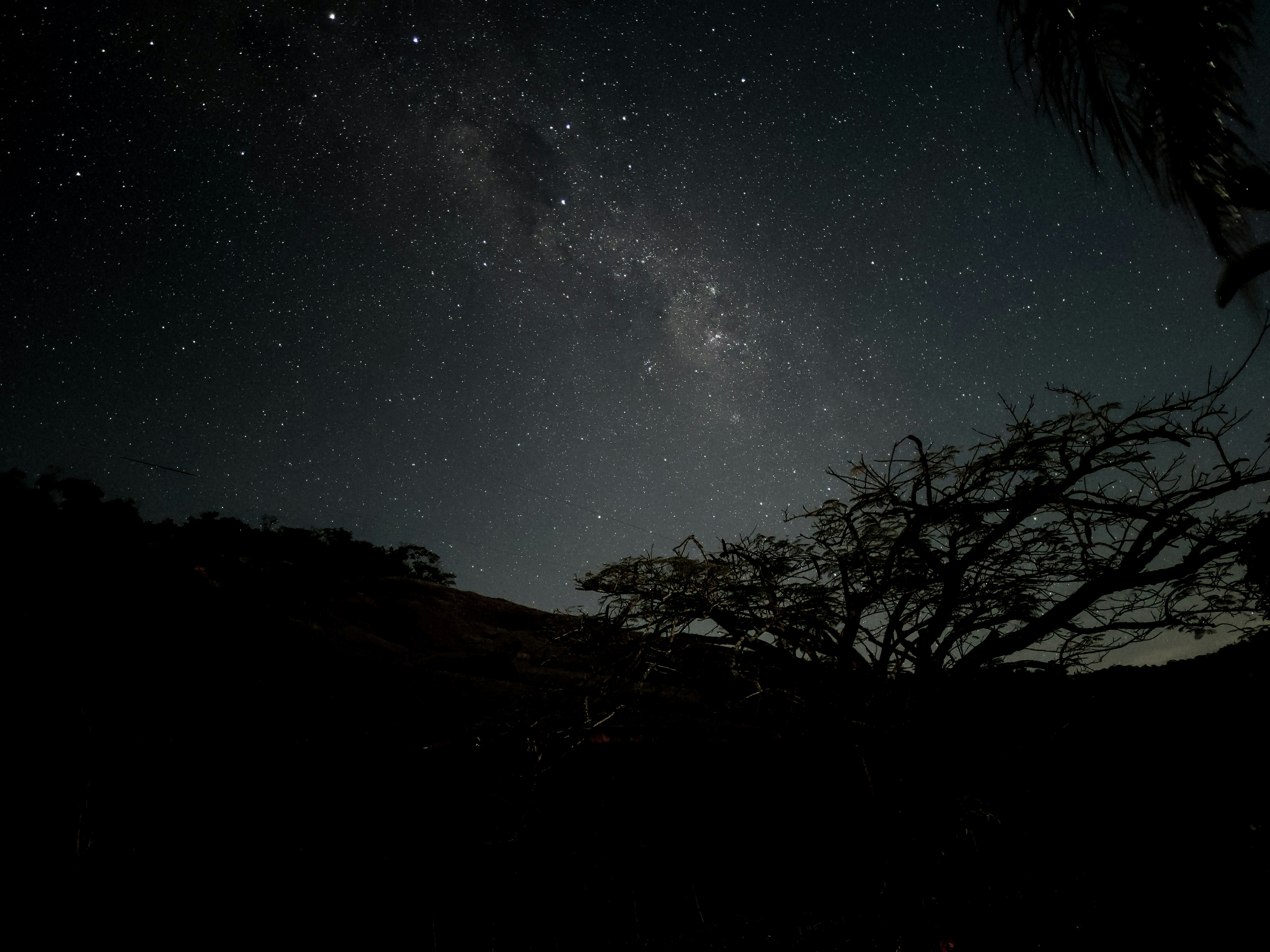 Photo by edsonjrmenezes