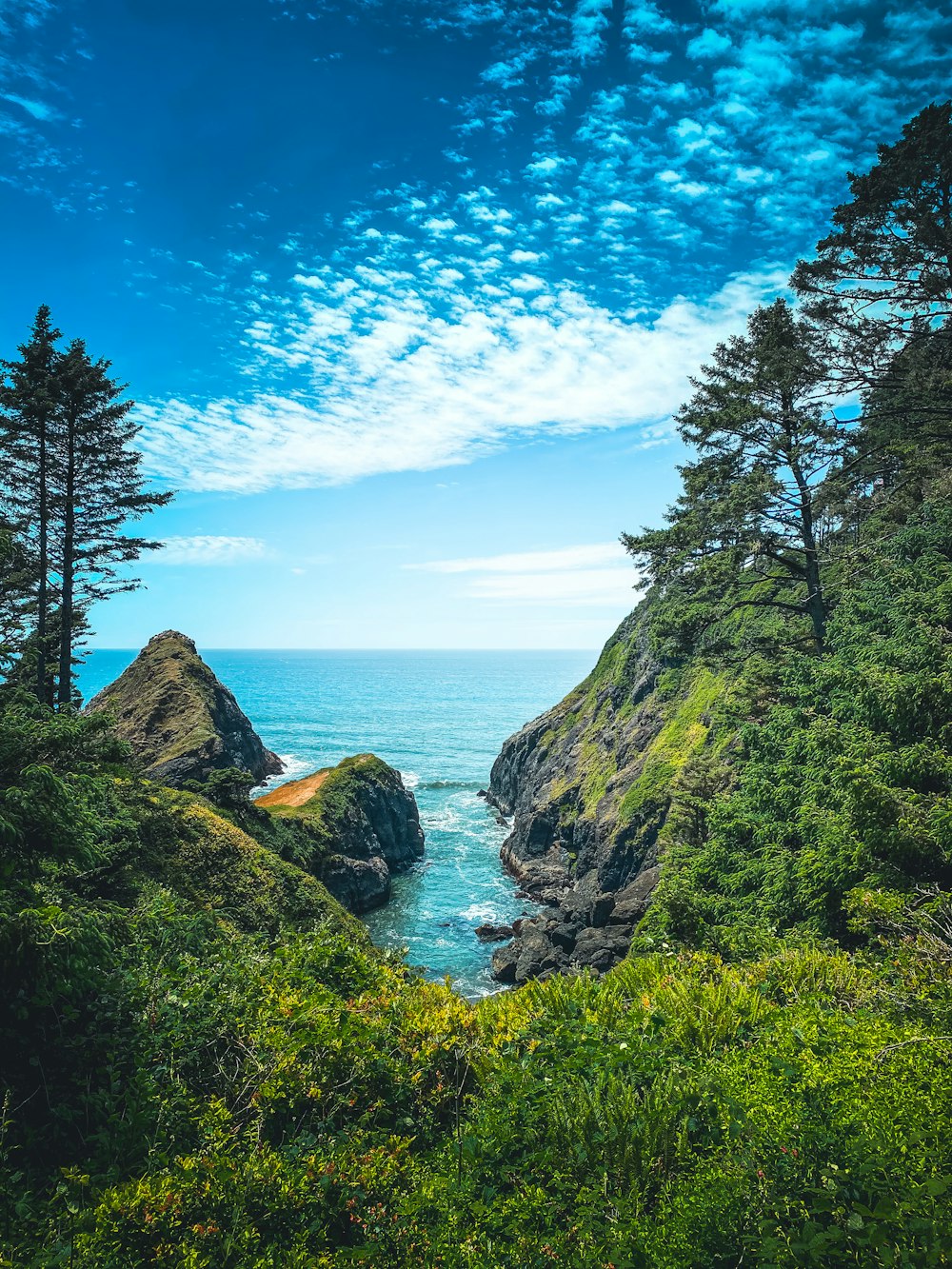 green trees on mountain beside sea under blue sky during daytime