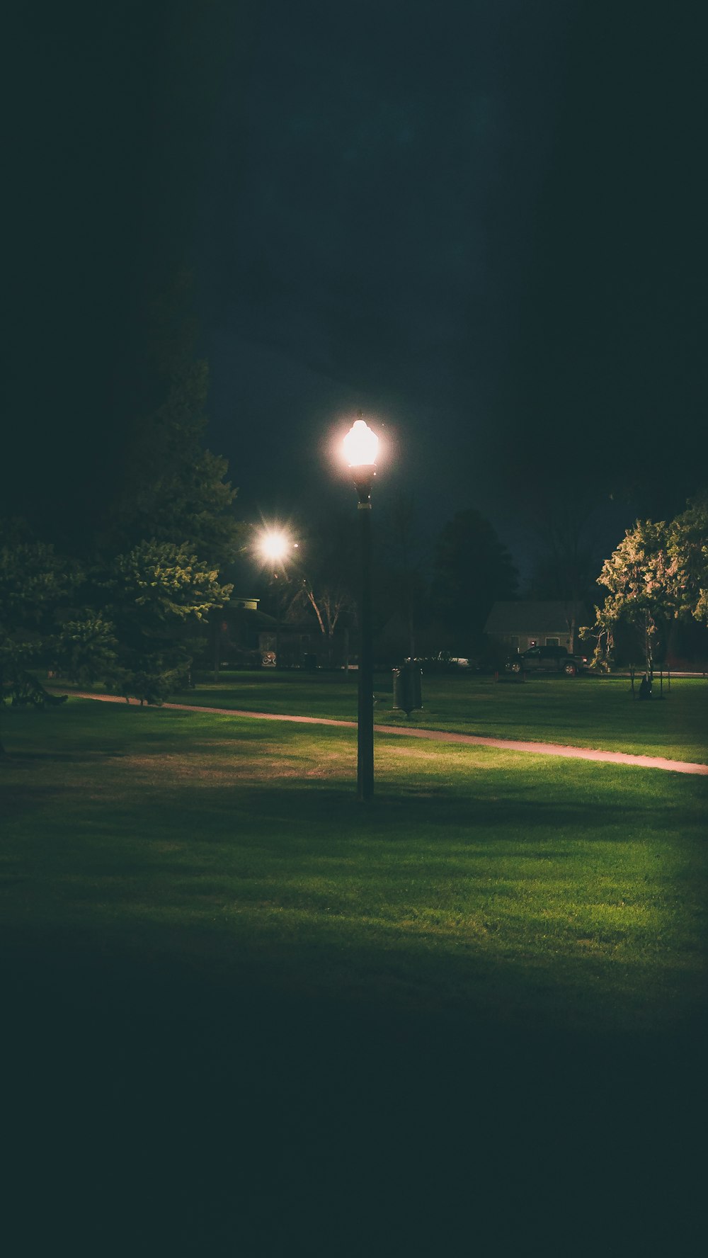 black street light on green grass field during night time