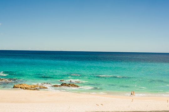 people on beach during daytime in Los Cabos Mexico