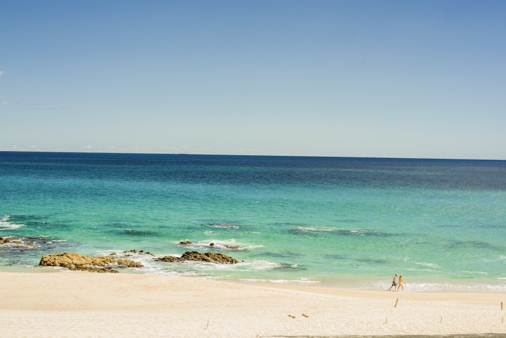 people on beach during daytime