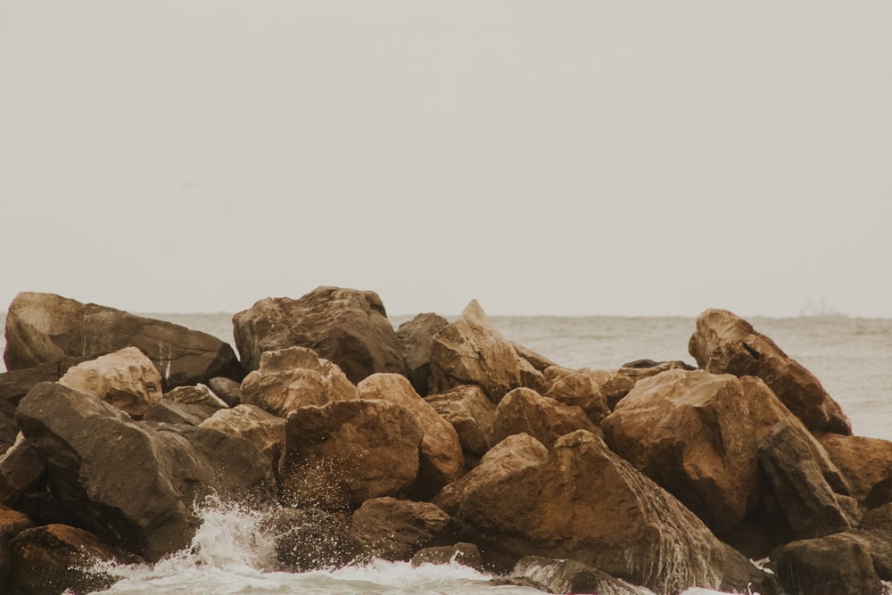 brown rocks on sea shore during daytime