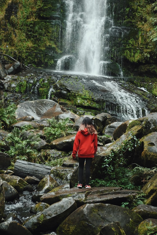 Erskine Falls Road things to do in Apollo Bay VIC