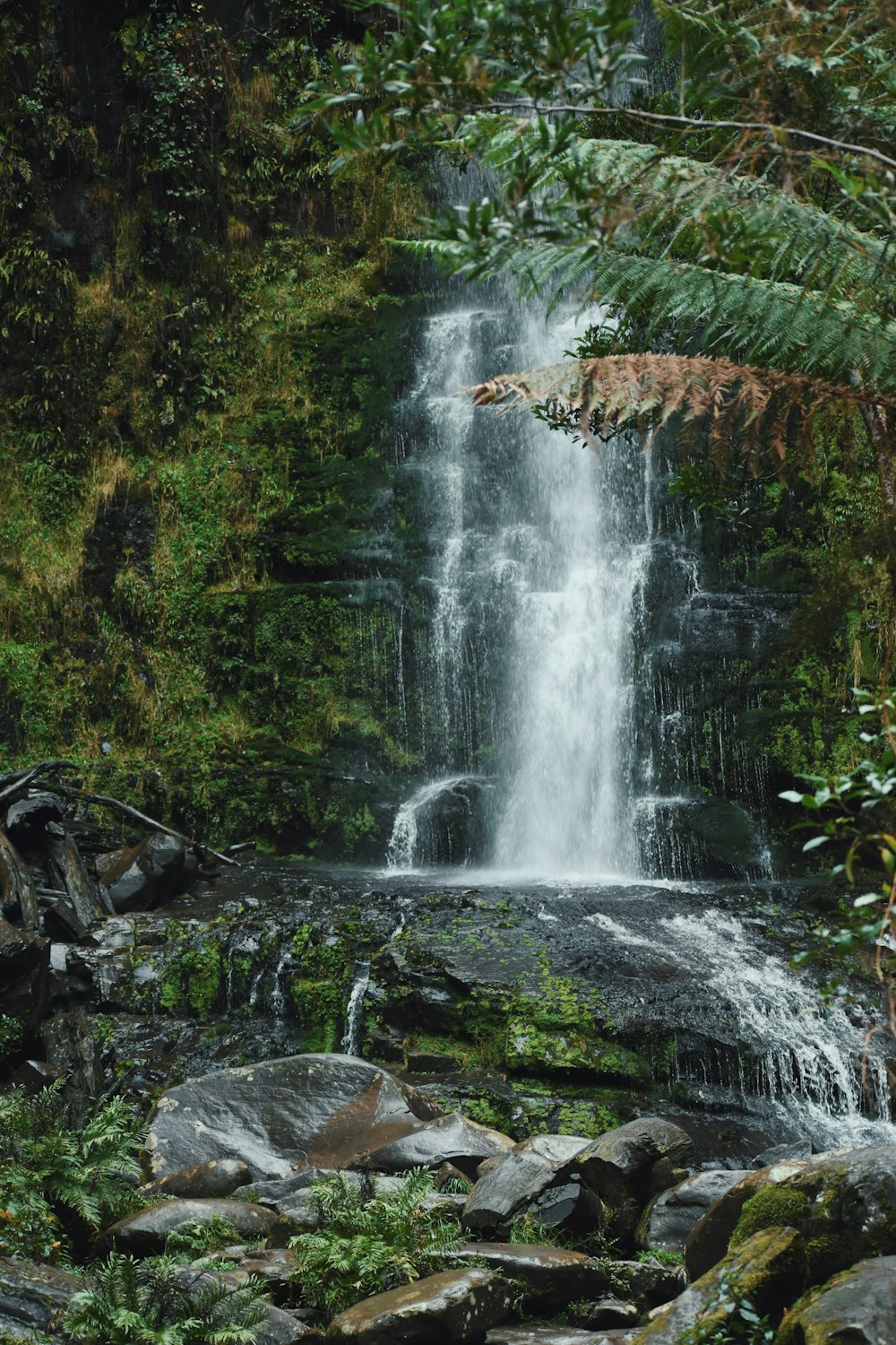 water falls in the middle of the forest