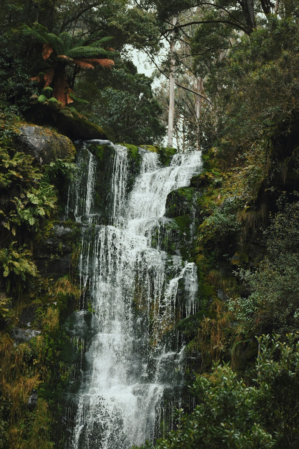cachoeiras no meio da floresta