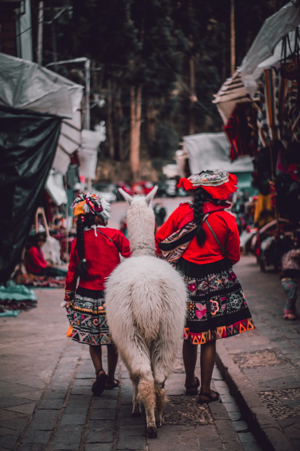 white and black sheep on street during daytime