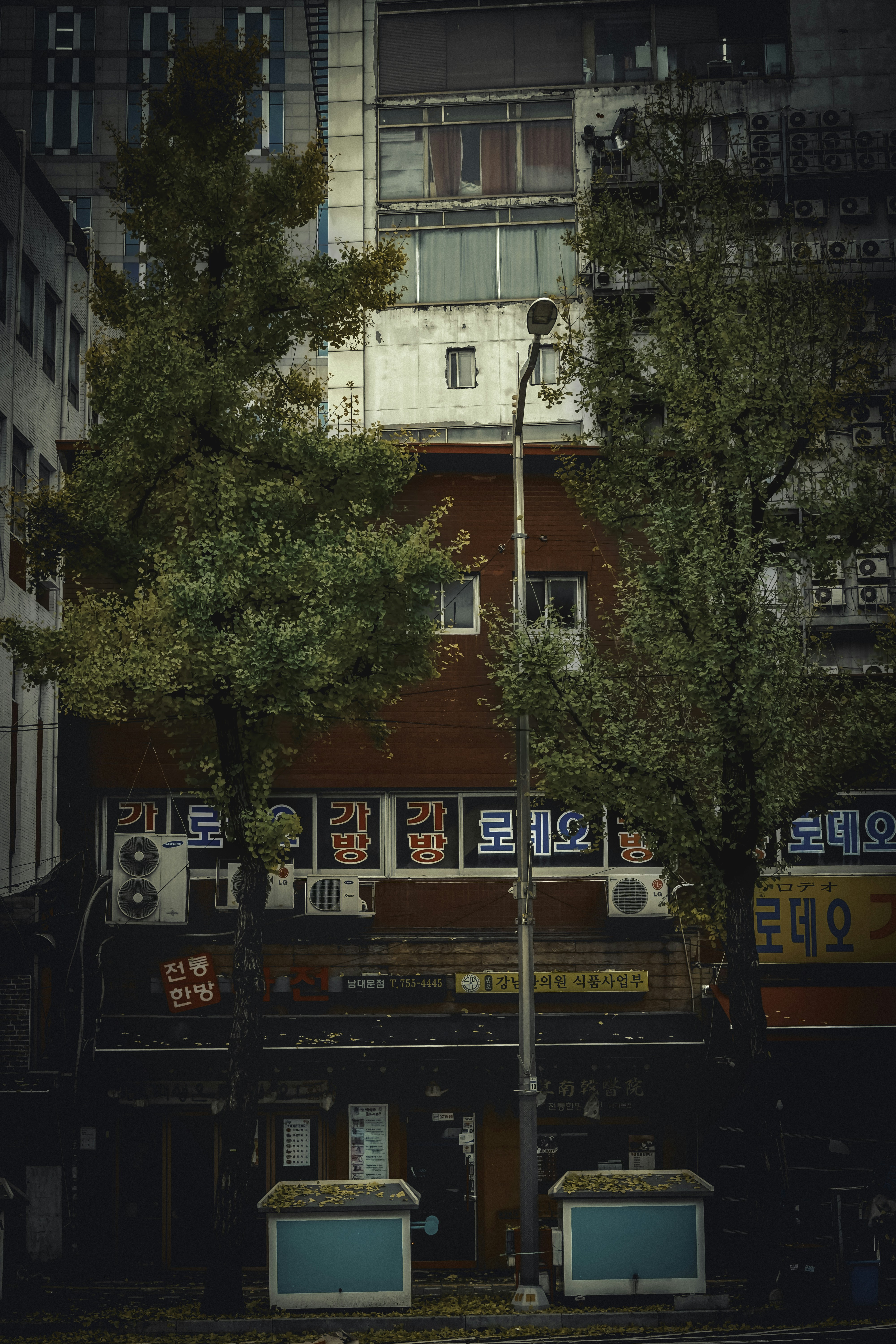 Photo by thinhngtrung