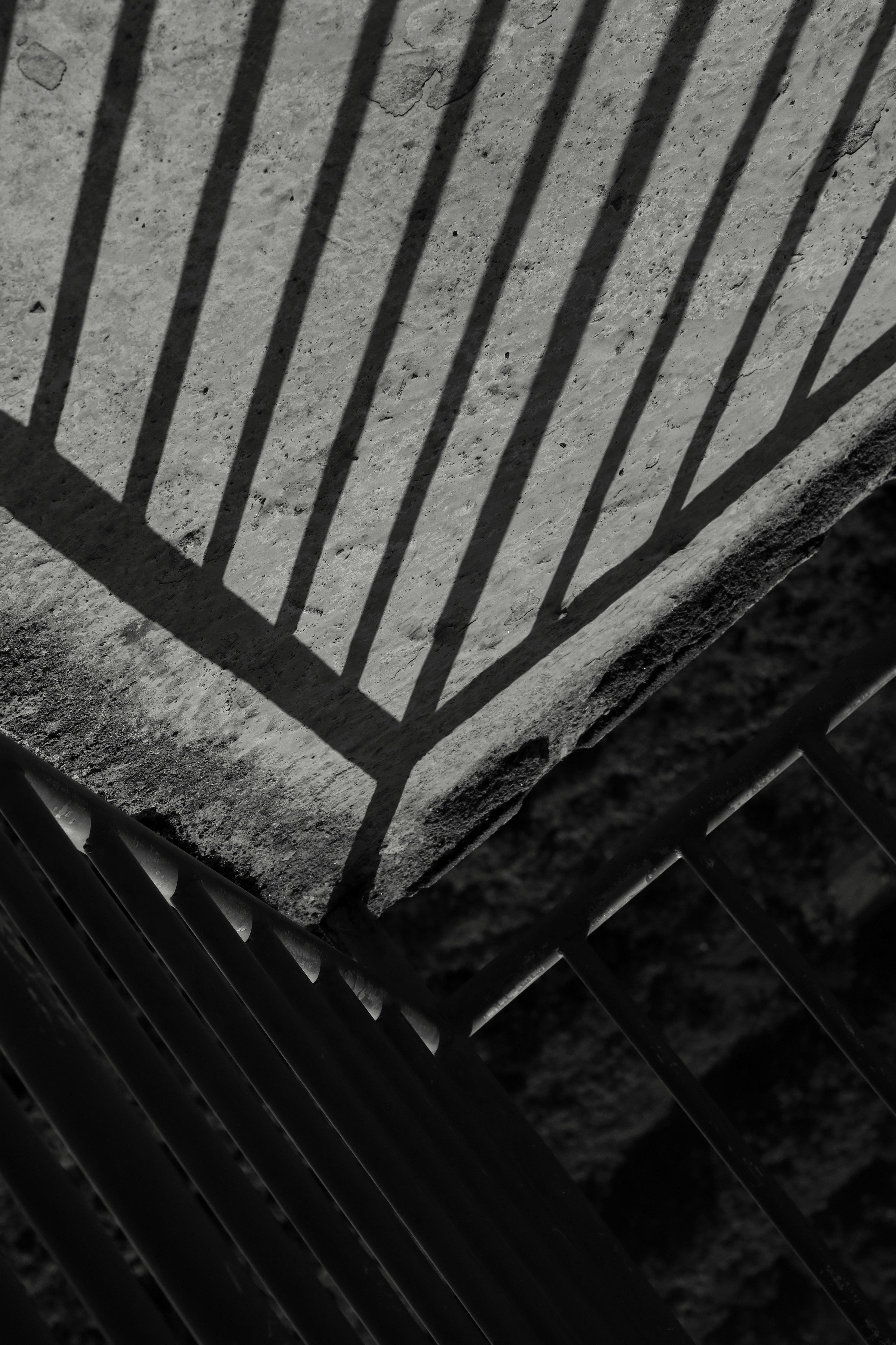 Photo by thomas_raphaels