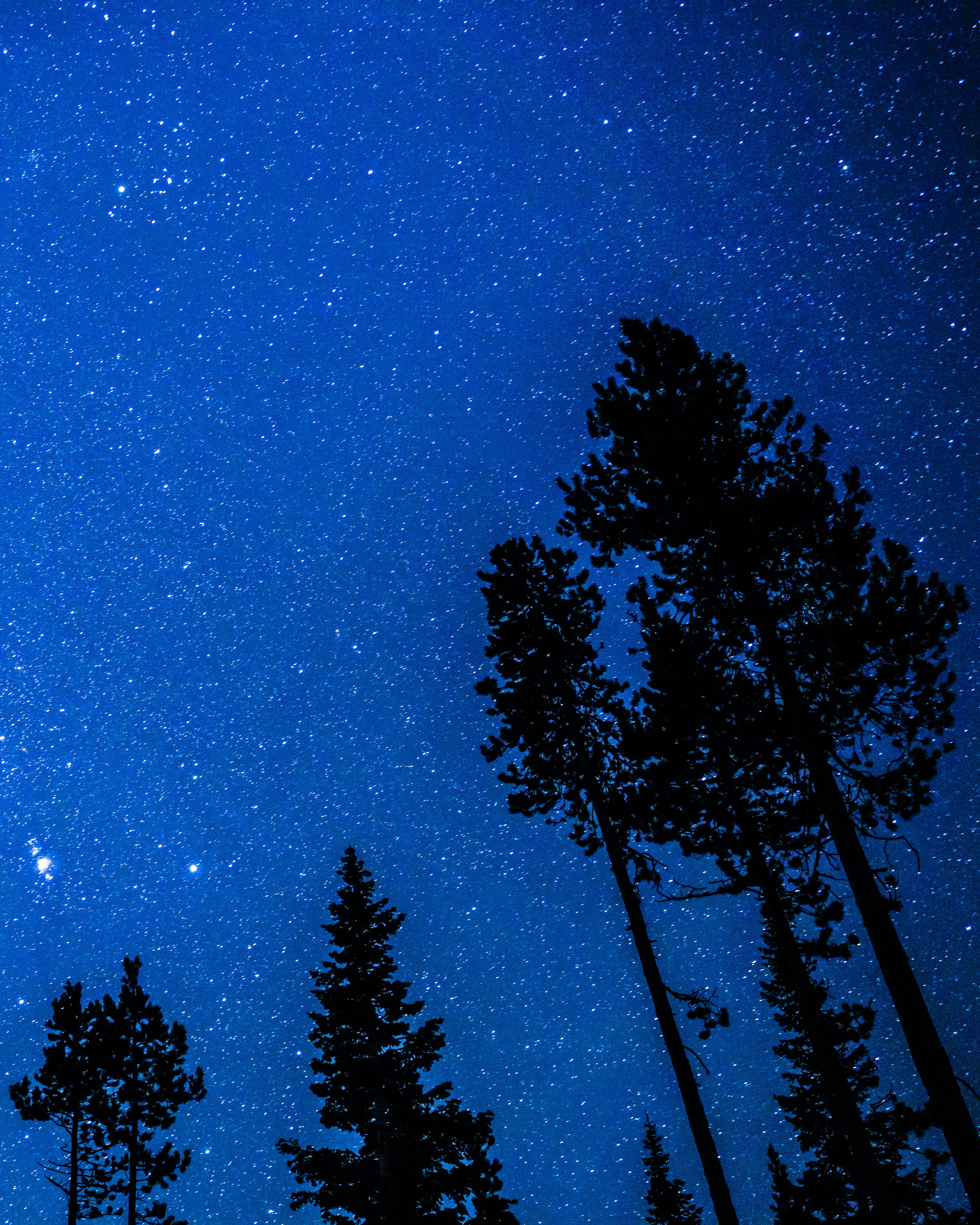 Photo by tatonomusic