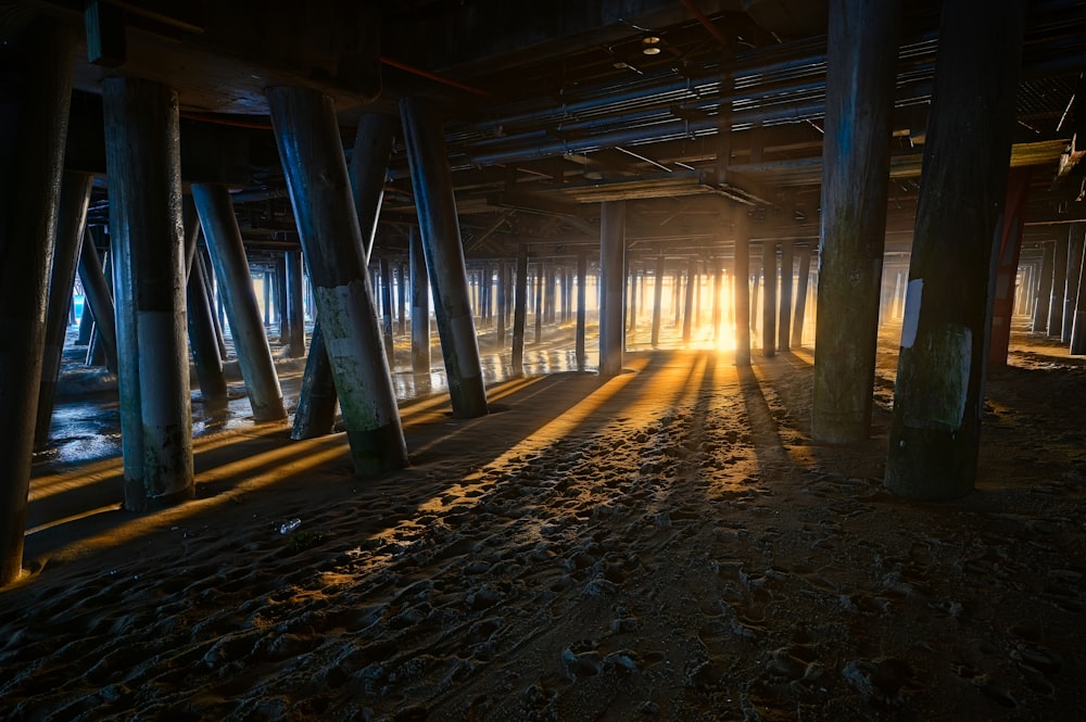 brown wooden dock during daytime